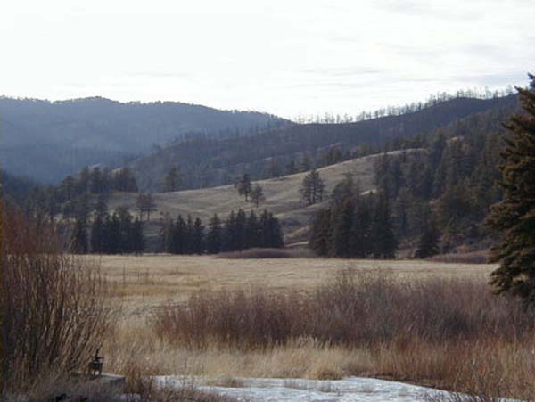 scenery
