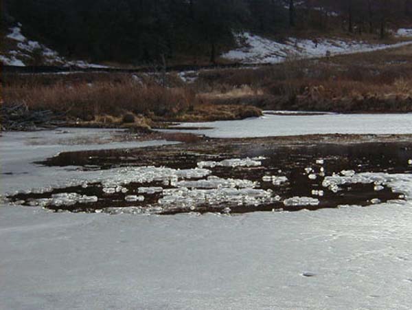 scenery2