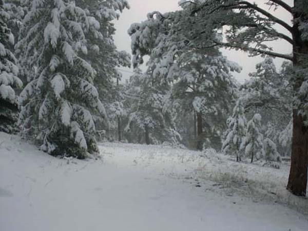 snow