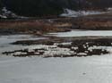 scenery2
