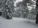snow